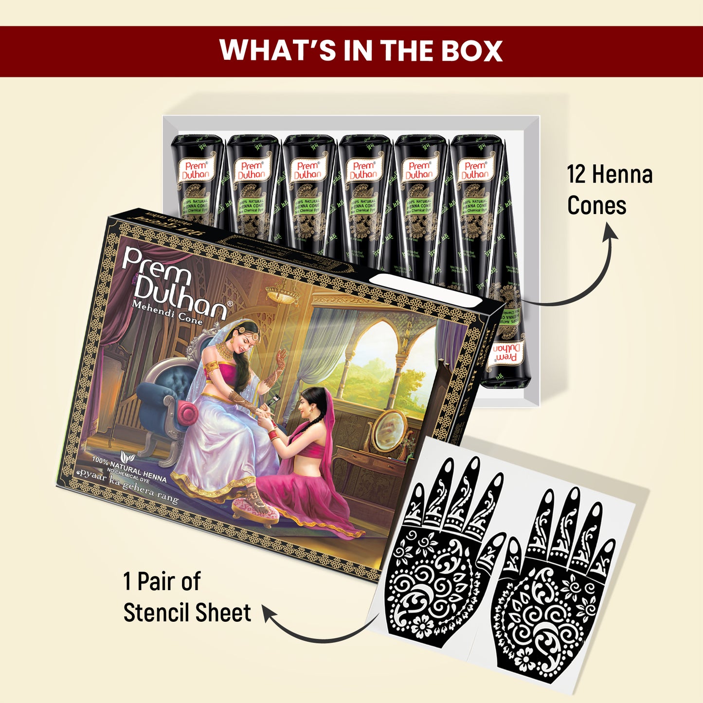 Prem Dulhan Ready to Use Mehendi Cones with Floral Paisley Stencils Black Box