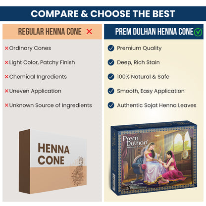 Prem Dulhan Ready to Use Mehendi Cones with Paisley Stencils Blue Box