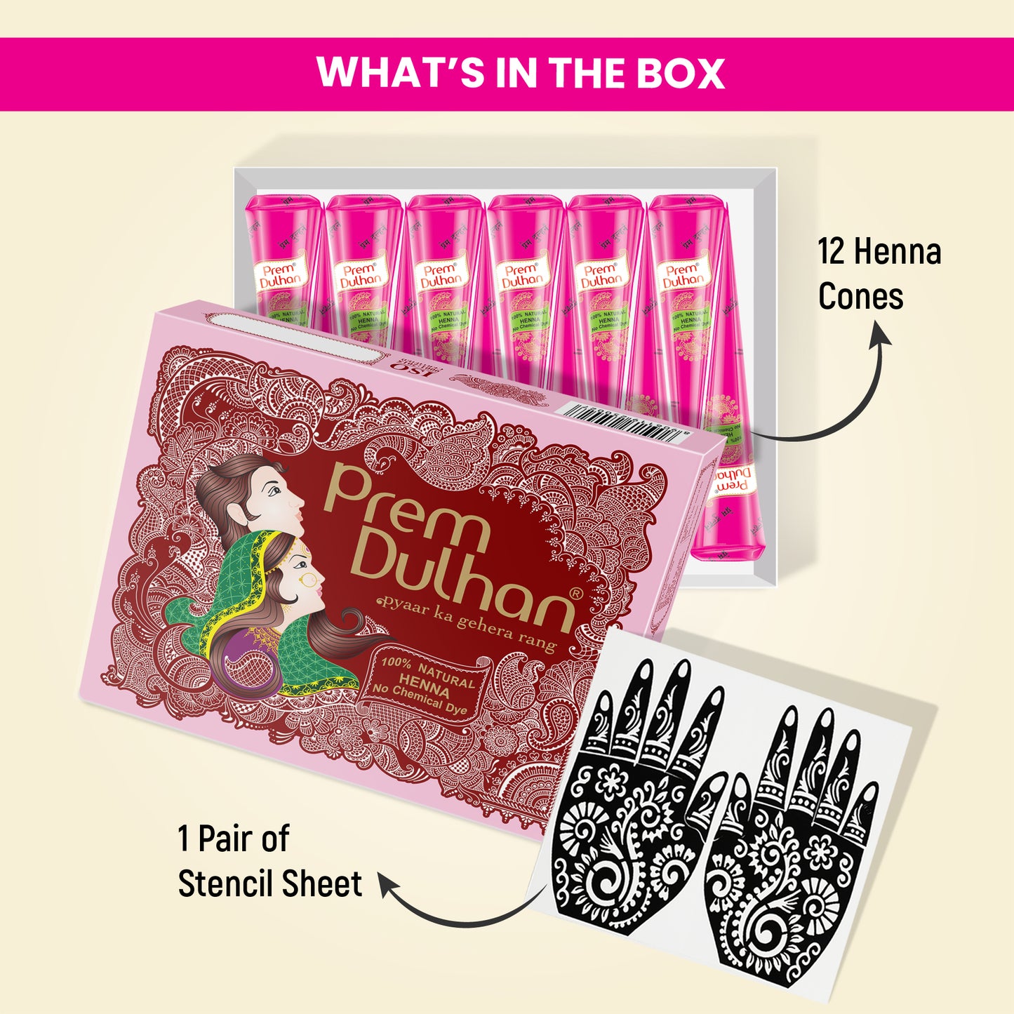 Prem Dulhan Ready to Use Mehendi Cones with Paisley Stencils Pink Box