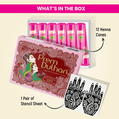 Prem Dulhan Ready to Use Mehendi Cones with Paisley Stencils Pink Box