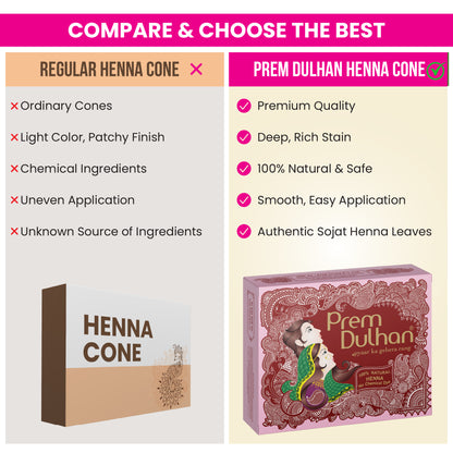 Prem Dulhan Ready to Use Mehendi Cones with Flower Stencils Pink Box